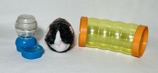 Generation pet guinea for sale  San Antonio
