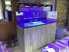 Evolution aqua 5ft for sale  TRURO