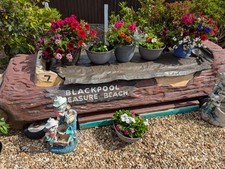 Blackpool pleasure beach for sale  PRESTON