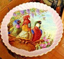 Old paris parrots for sale  Miami
