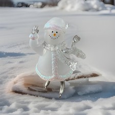 Frosted acrylic skating for sale  Wake Forest
