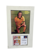 Derek dougan wolves for sale  STAFFORD