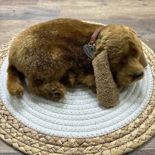 Perfect petzzz mutt for sale  Warwick
