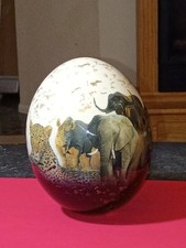 7 ostrich eggs for sale 7 ostrich eggs for sale Winter Haven