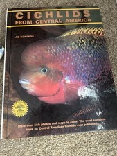 Cichlids central america for sale  SWANSEA