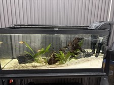 Fish tank stand for sale  Orlando