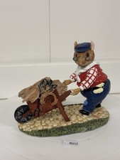 Rare tommy meadowsweet for sale  NORWICH