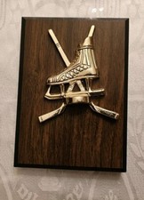 Wood ice hockey for sale  Harrisburg