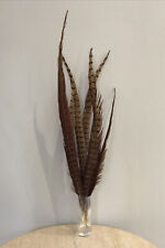 Lot plumes faisan d'occasion  Bourgoin-Jallieu