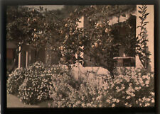 Autochrome sud jardin d'occasion  Paris VI
