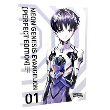 Neon genesis evangelion gebraucht kaufen  Westerrönfeld