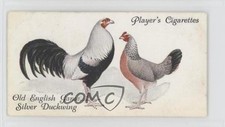 1931 player poultry for sale  Auburn