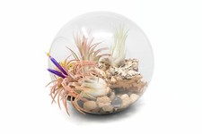 Large hand blown for sale  Saint Augustine