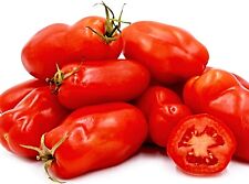 Tomate san marzano gebraucht kaufen  Recklinghausen