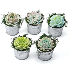 Mini iron buckets for sale  Fallbrook