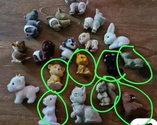 Cuccioli cerca amici usato  Settimo Milanese
