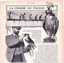 Fauconnerie d'occasion  Vesoul