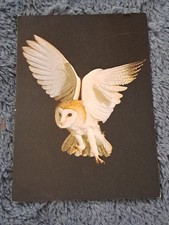 Vogel postkarte england gebraucht kaufen  Hamburg