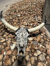 Longhorn steer skull for sale  San Antonio