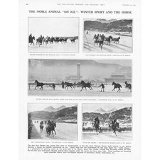 Moritz winter sport for sale  GLASGOW