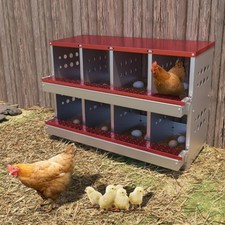 Compartments chicken nesting for sale  USA