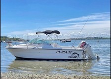 Pursuit cuddy sports for sale  CHELMSFORD