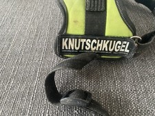 Hundegeschirr julius k9 gebraucht kaufen  Laichingen