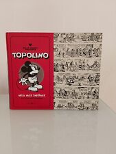 Topolino nella valle usato  Roma