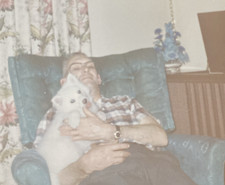 1960s american eskimo for sale  New Hartford