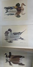 Richard sloan prints for sale  New Richland