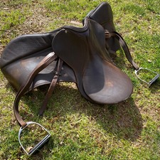Courbette jump horse for sale  Gilbert