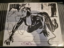 Catwoman comic druck gebraucht kaufen  Griesheim