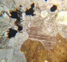 Nepheline petrographic microsc for sale  Los Angeles