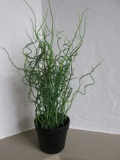 Ikea pflanze künstlich gebraucht kaufen Ikea pflanze künstlich gebraucht kaufen  Wenden