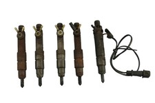 Tdi einspritzdüsen ajt gebraucht kaufen  Zeitz