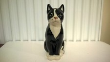 Cat black white for sale  FAREHAM