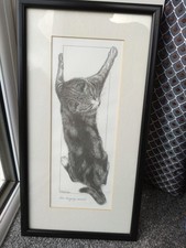 Bob bowdige cat for sale  PRESTON