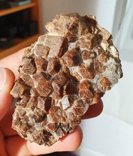 Garnets vallespir perpignan d'occasion  Expédié en Belgium