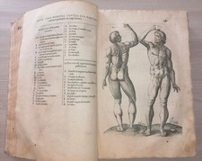 Inizio 600 storia usato  Italia