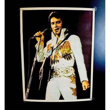 Elvis presley poster for sale  Taylor