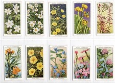 Wild flowers 2nd for sale  BRECON