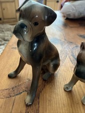 Decorative boxer dog for sale  TRURO