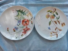 Assiettes porcelaine fine d'occasion  Auch