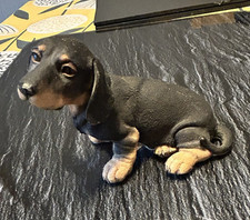 Dachshund puppy black for sale  LEEDS