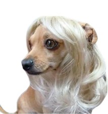 Long blonde wavy for sale  Olympia