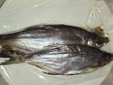 Dried fish. taranka for sale  LONDON