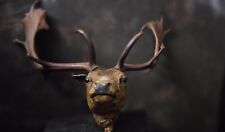 Antique vintage stag for sale  UK