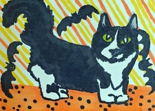 Munchkin halloween cat for sale  Colbert
