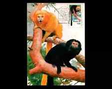 Macacos brasileiros 1976 mico-leão-dourado leontopithecus rosalia com manchas de ferrugem comprar usado  Brasil 