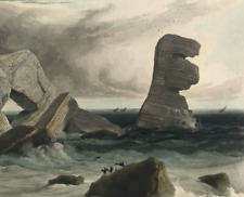 Pembrokeshire govan head for sale Pembrokeshire govan head for sale  BOURNE END